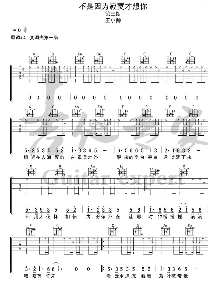 不是因?yàn)榧拍畔肽慵V 王小帥掃弦版